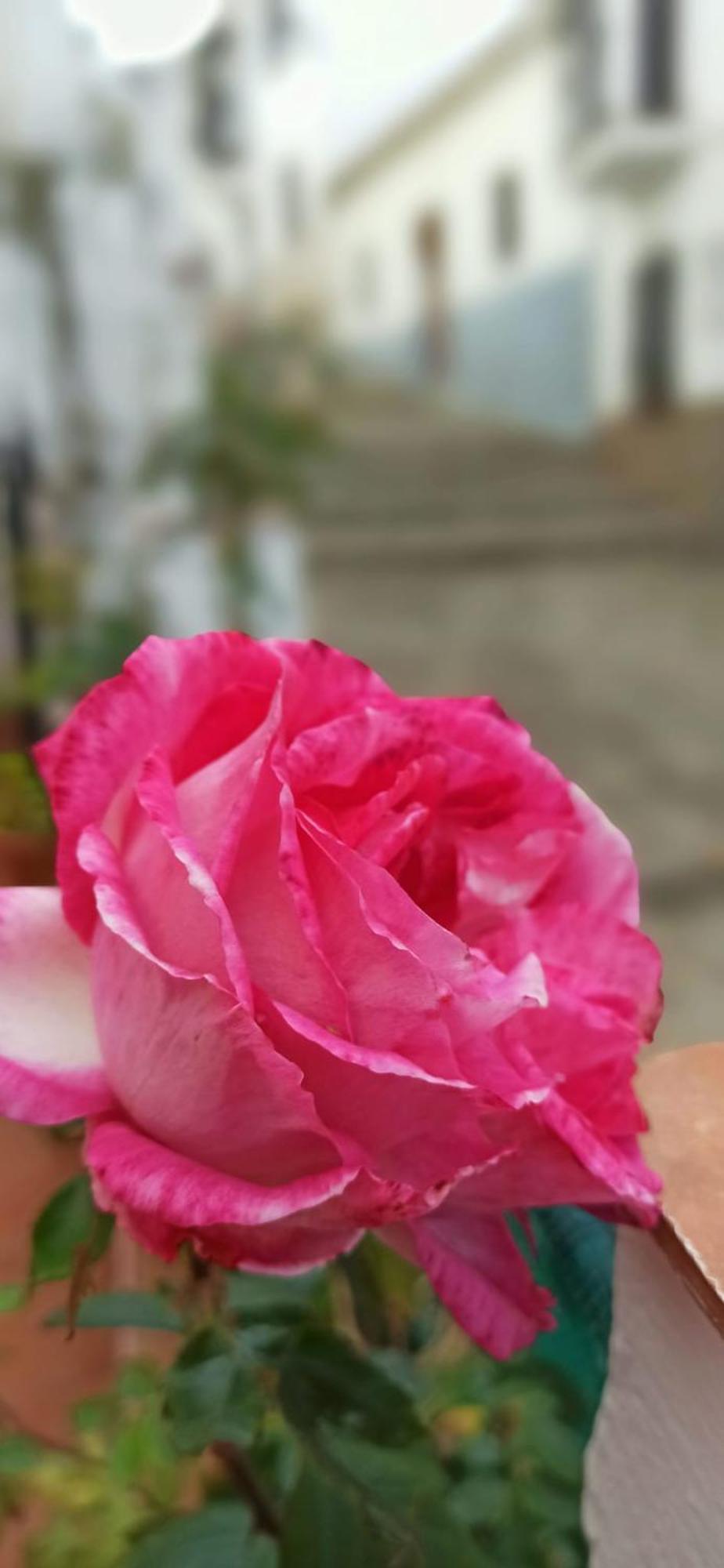 Casa Rustica Ronda 아파트 외부 사진